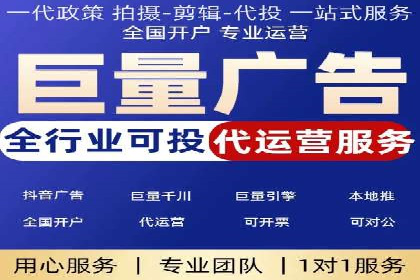 SEM托管公司案例分析：实战技巧全解析